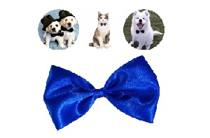 ACCES. MASC. COLLAR MICHI / CORBATA