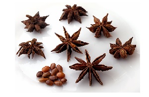 CONDIMENTO ANIS DE MONO X UND