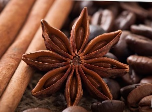 CONDIMENTO ANIS ESTRELLA X UND