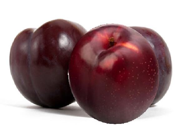 FRUTA CIRUELA CHILENA GRD*KG