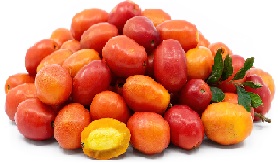 FRUTA CIRUELA CRIOLLA*KG