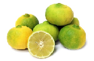 FRUTA LIMA EXTRA *KG