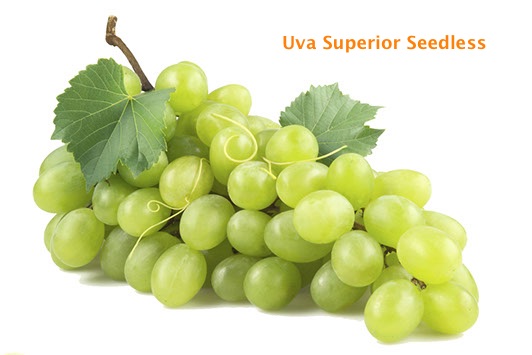 FRUTA UVA SUPERIA *KG