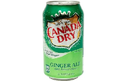 GAS. CANADA DRY GINGER ALE X 355ML(