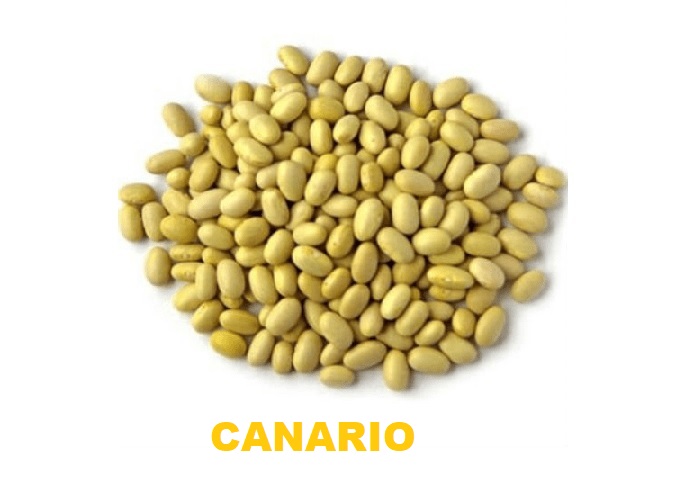 MENESTRA CANARIO X 500 GR