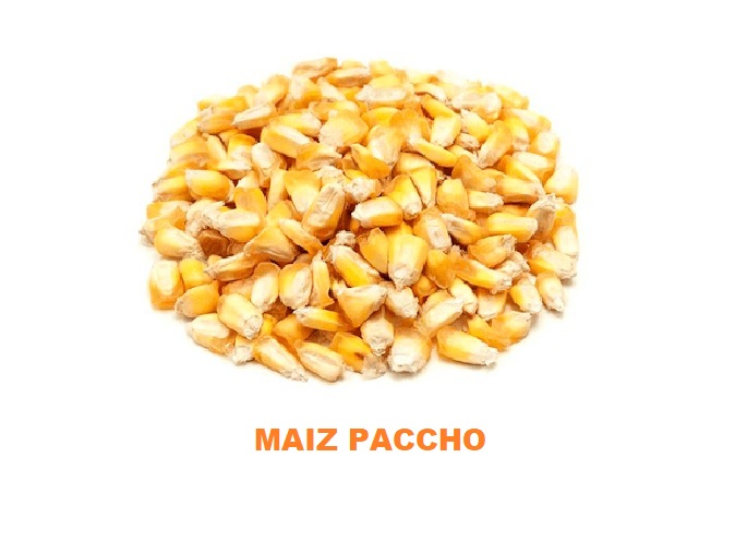 MENESTRA MAIZ PACCHO X 500 GR