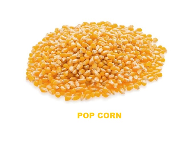 MENESTRA POP CORN X 500 GR