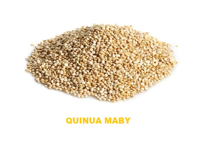 MENESTRA QUINUA MABY X 500 GR