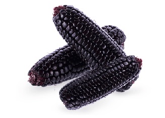 VERDURA MAIZ MORADO X KG