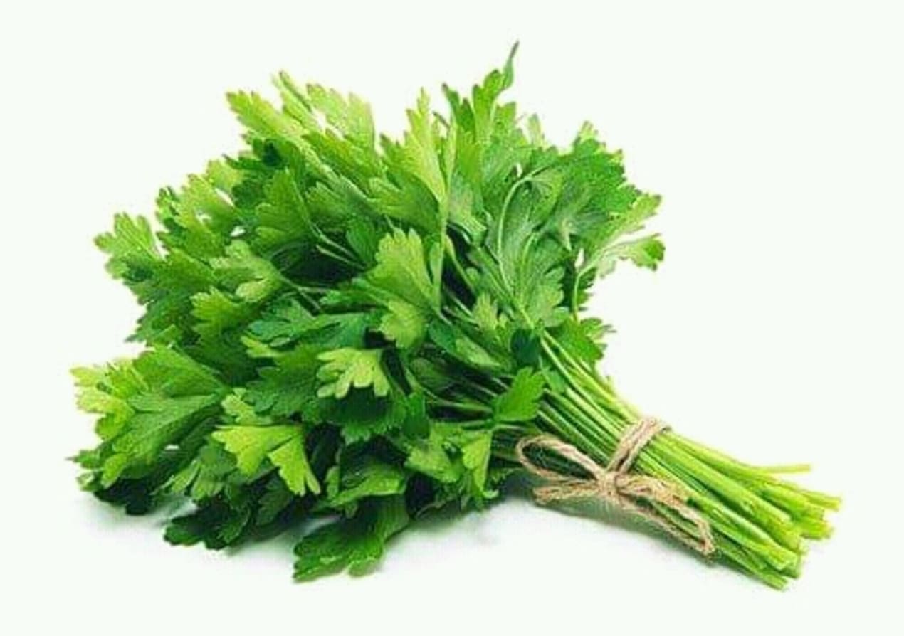 VERDURA PEREJIL*UND