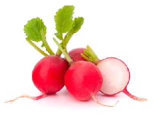 VERDURA RABANITO X KG