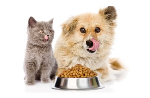 ALIMENTO A GRANEL GATO / PERRO*500G
