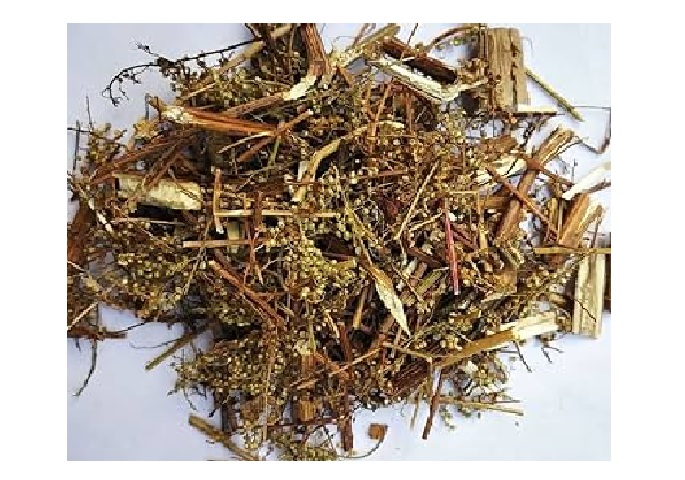 HIERBA MEDICINAL MASTRANTO X BOLSA