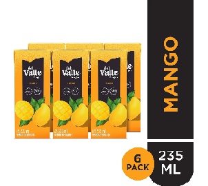 JUGO FRUGOS DEL VALLE MANGO *235 ML