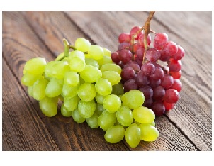 FRUTA UVA IQUEÑA X KG