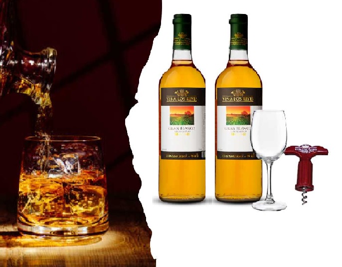 VINO GRAN BLANCO VIÑA LOS REYES SEM