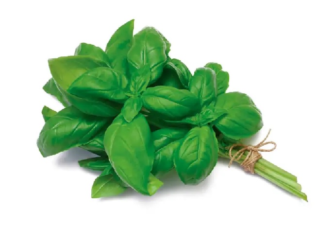 VERDURA ALBAHACA ORGANICA X ATO