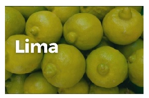 FRUTA LIMA CHICA KG