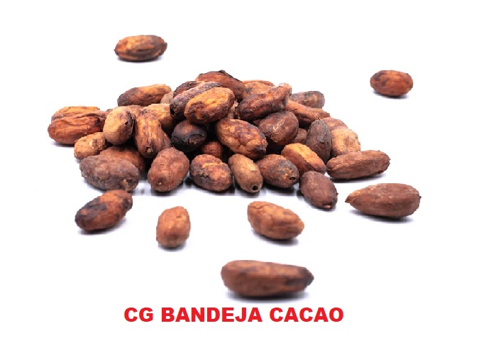 CG BANDEJA CACAO X 3 UND