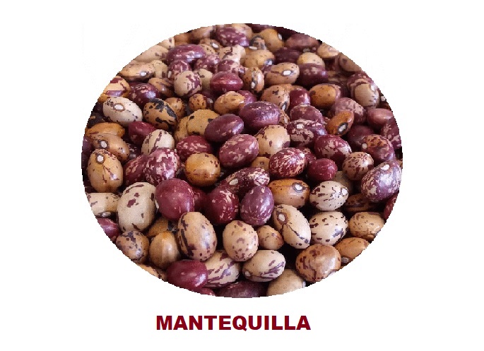 MENESTRA FREJOL MANTEQUILLA X 500 G